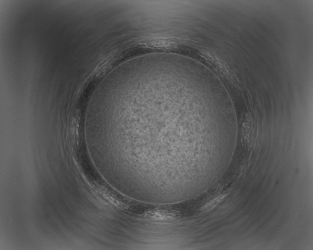 X0000084050739200702232351