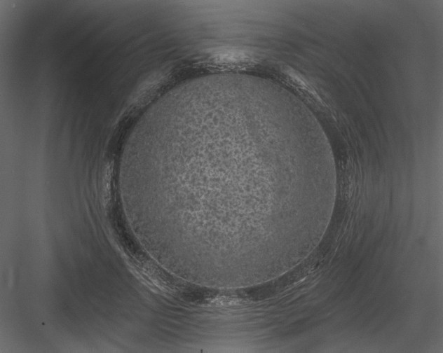 X0000084050742200702232351