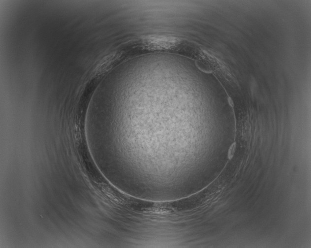 X0000084050743200702232351