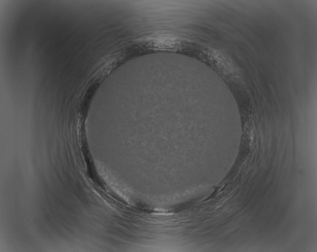 X0000084050744200702232351