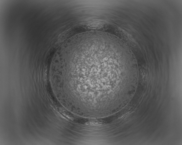 X0000084050745200702232351