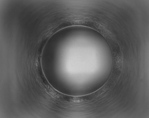 X0000084050746200702232351