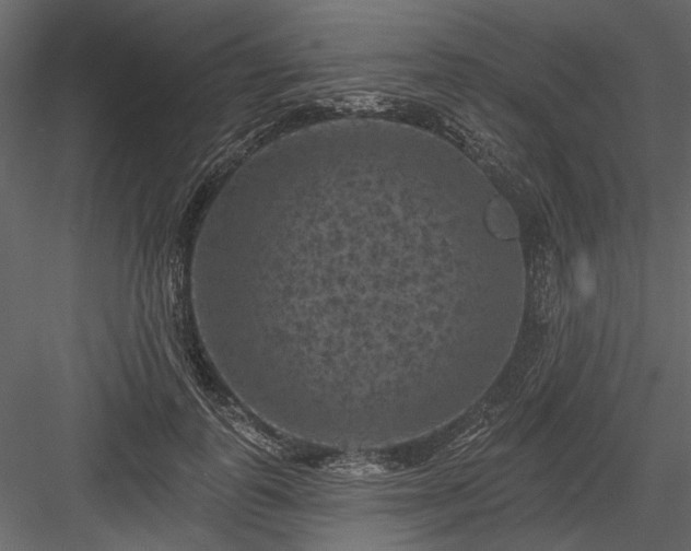 X0000084050747200702232351