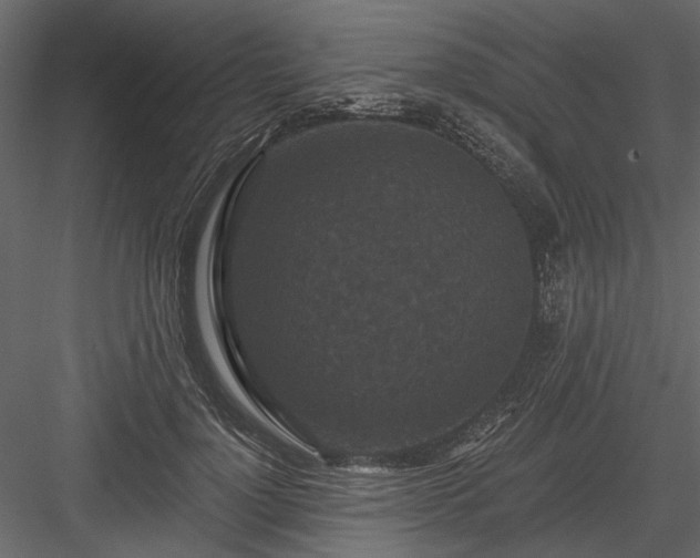 X0000084050748200702232351