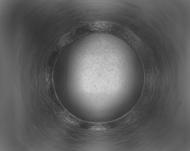 X0000084050749200702232351