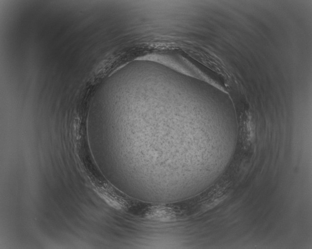 X0000084050750200702232351