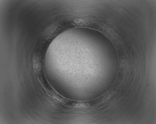 X0000084050751200702232351