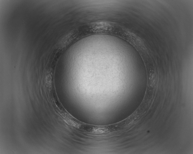 X0000084050753200702232351