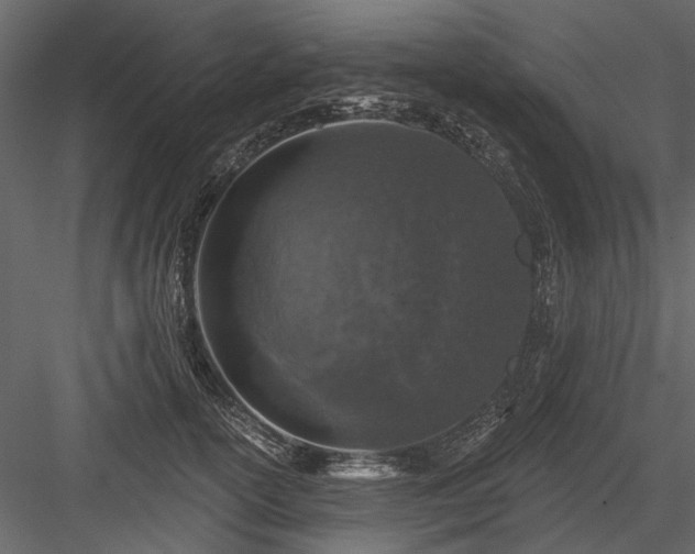 X0000084050754200702232351