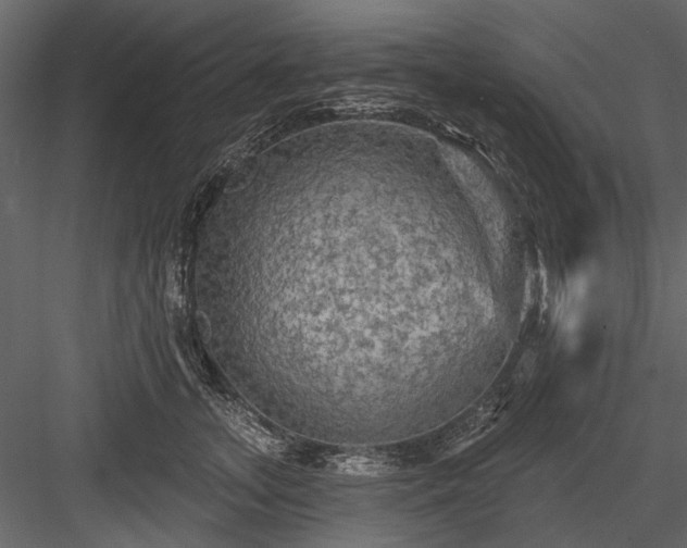 X0000084050755200702232351