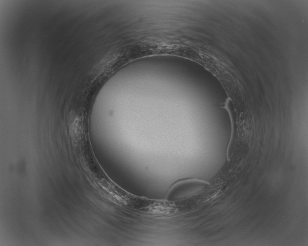 X0000084050756200702232351