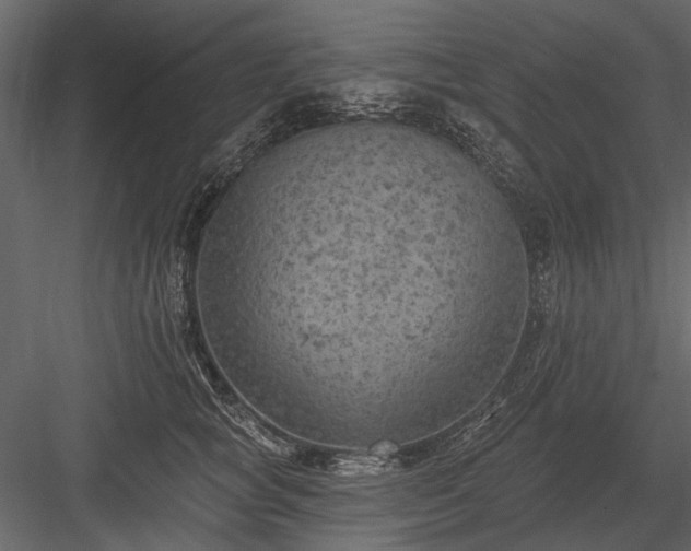 X0000084050757200702232351