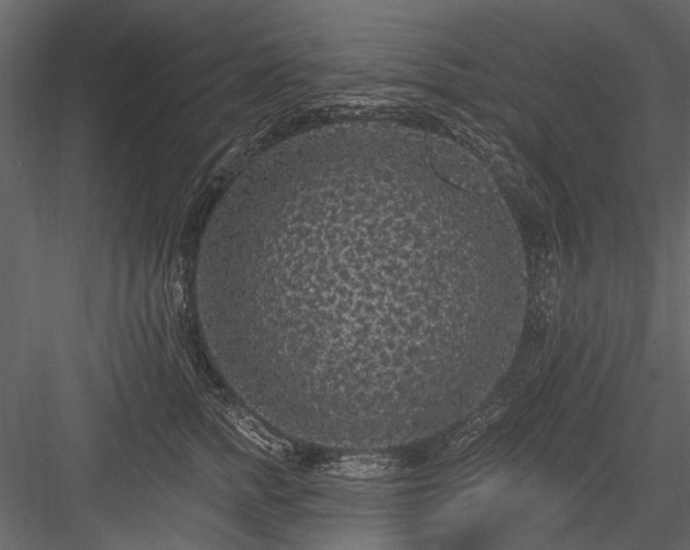 X0000084050758200702232351