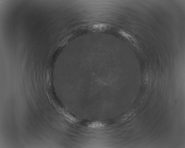 X0000084050759200702232351