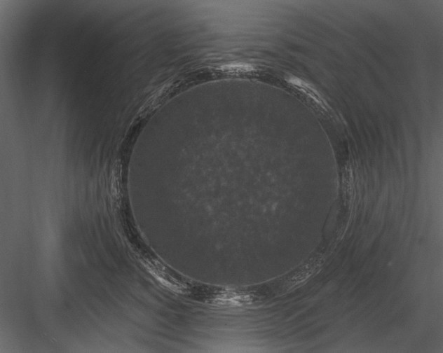 X0000084050760200702232351