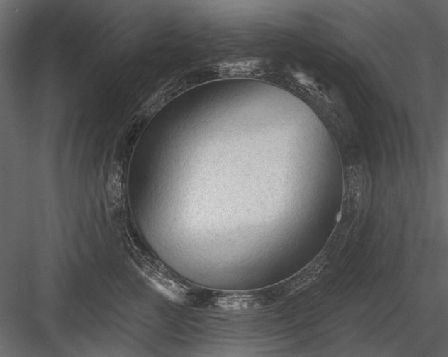 X0000084050761200702232351