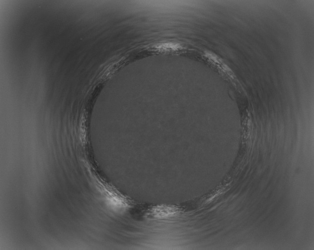 X0000084050762200702232351