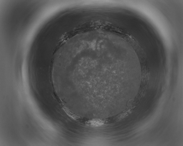 X0000084050765200702232351