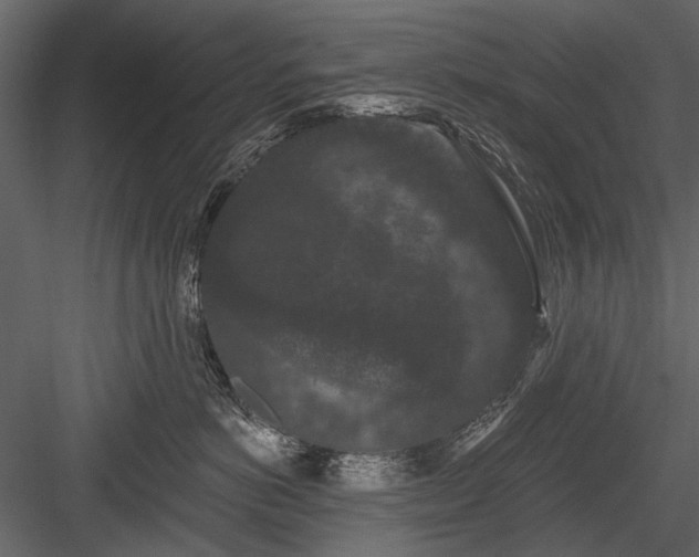 X0000084050766200702232351