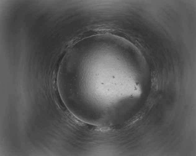 X0000084050767200702232351