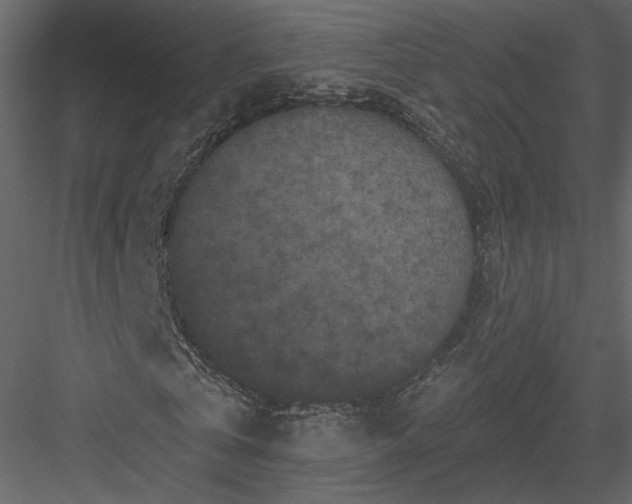 X0000084050769200702232350