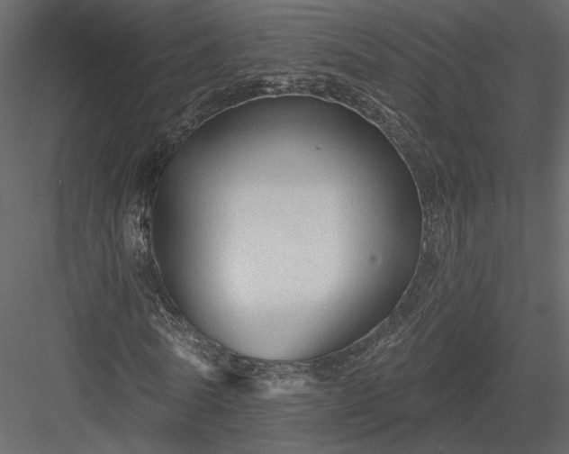 X0000084050770200702232350