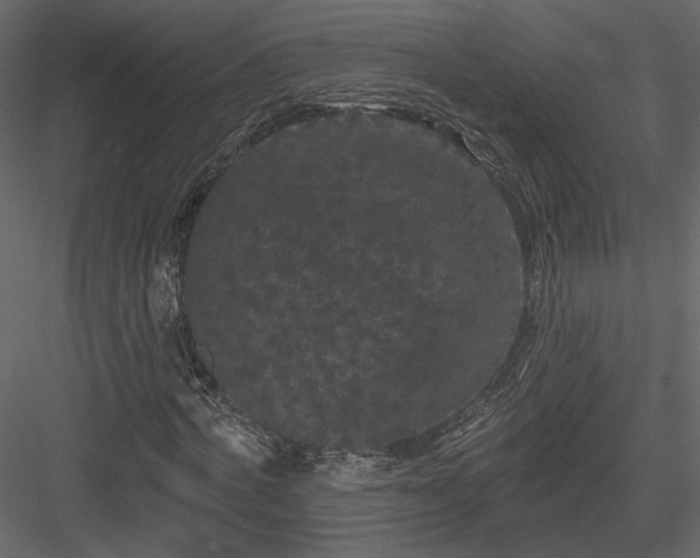 X0000084050772200702232350