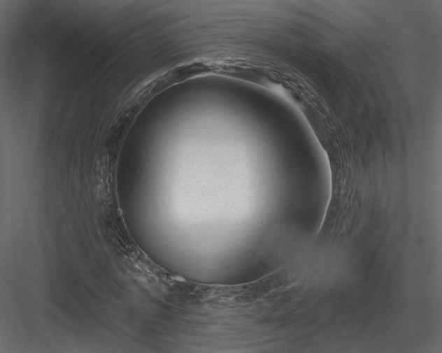 X0000084050773200702232350