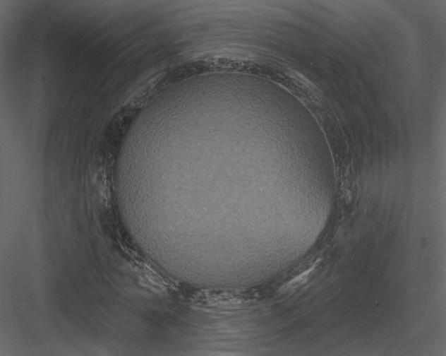 X0000084050774200702232350