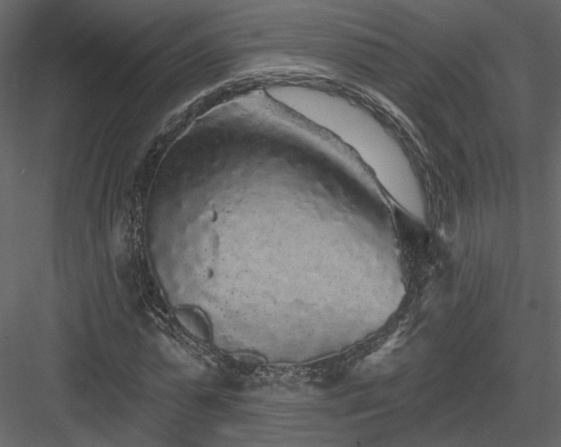 X0000084050775200702232350