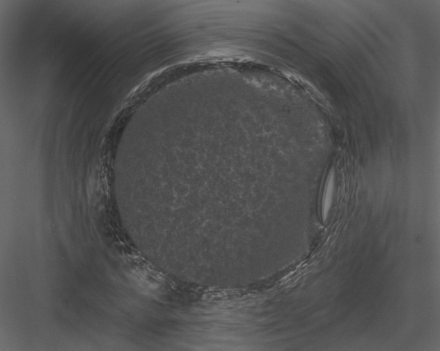 X0000084050776200702232350