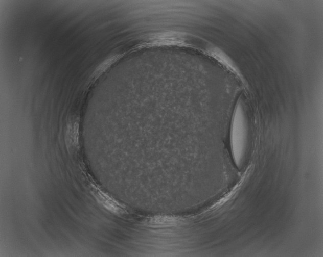 X0000084050777200702232350