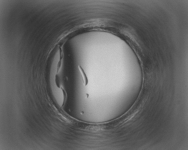 X0000084050778200702232350