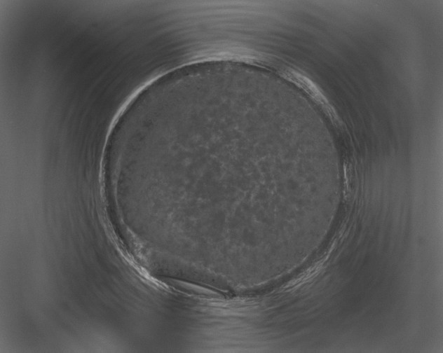 X0000084050780200702232350