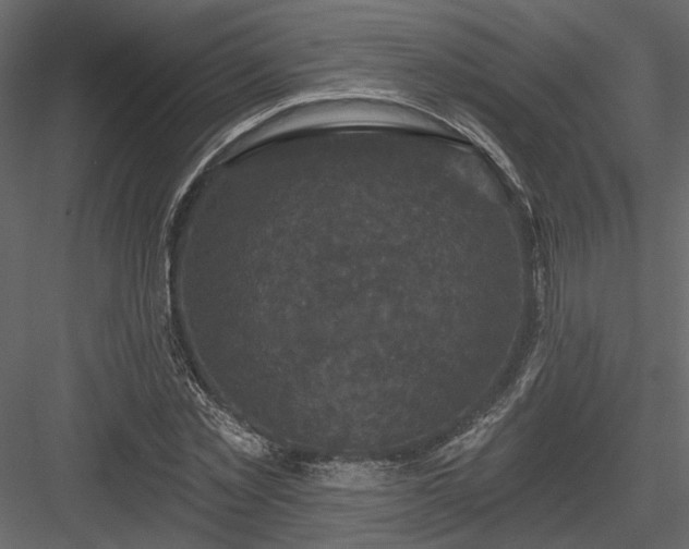 X0000084050781200702232350