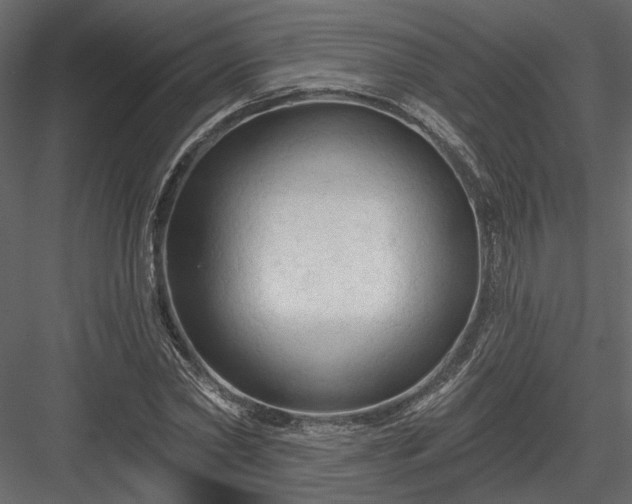 X0000084050782200702232350