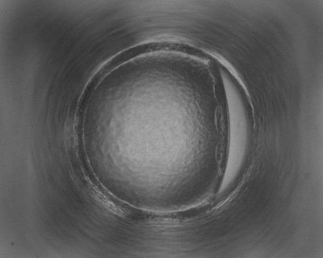 X0000084050783200702232350