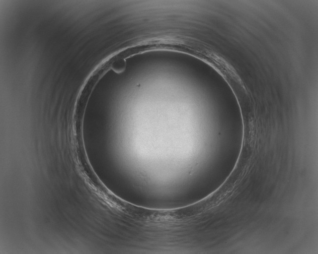 X0000084050784200702232350