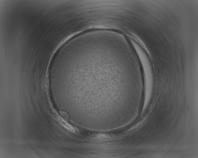 X0000084050787200702232350