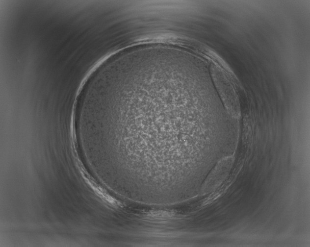 X0000084050788200702232350