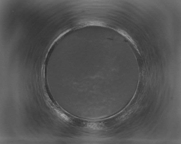 X0000084050790200702232350