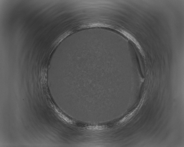 X0000084050793200702232350