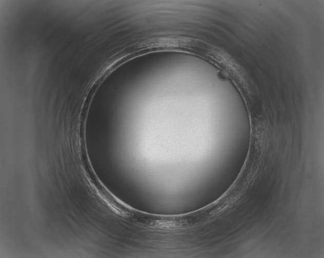 X0000084050794200702232350