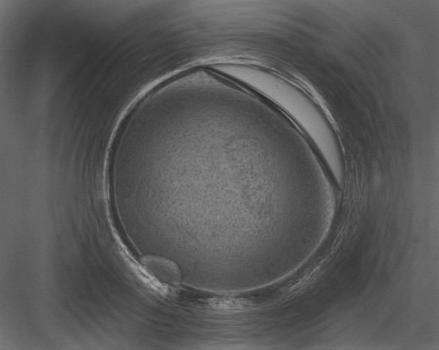 X0000084050795200702232350