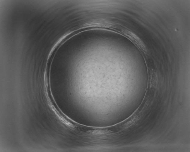 X0000084050796200702232350