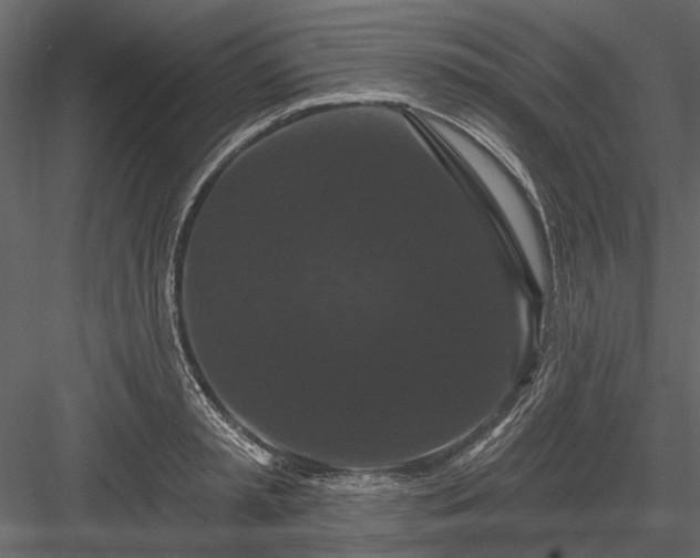 X0000084050797200702232350