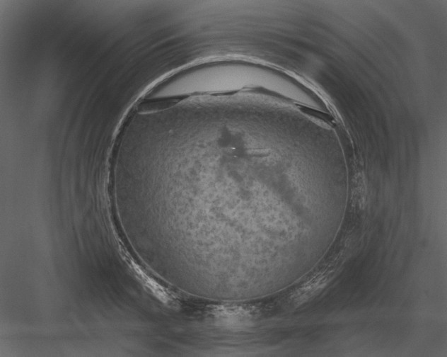 X0000084050799200702232350