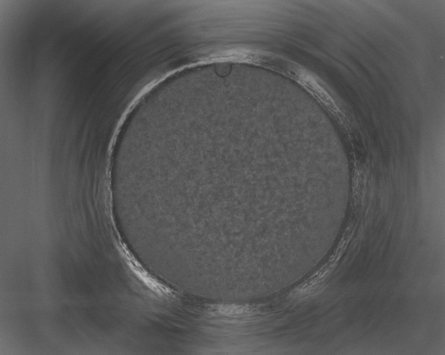 X0000084050800200702232350