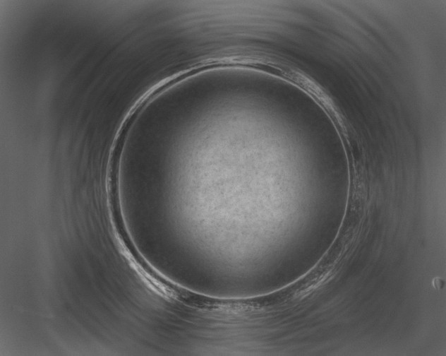 X0000084050803200702232350