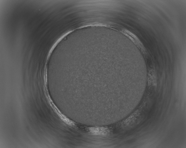 X0000084050804200702232350